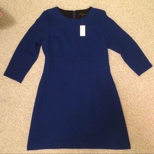 Royal Blue Banana Republic Dress